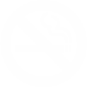 Zakaz palenia w czasie jazdy